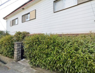 東灘区住吉山手6丁目　中古戸建の画像