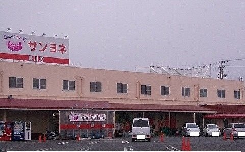 ペリグリンの周辺|サンヨネ豊川店まで600m