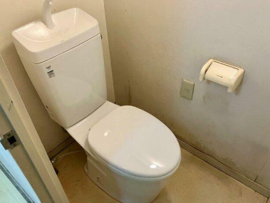 シティコープ豊洲のトイレ|落ち着いた色調のトイレです