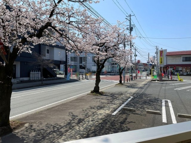 セレッソ花楯８８|春は桜がきれいです。（写真は物件前面道路）