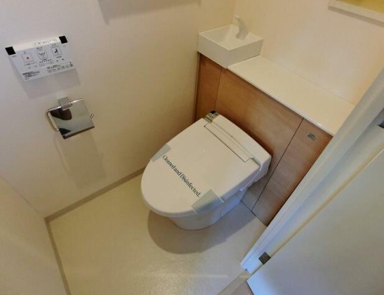 ステラメゾン武蔵小山 のトイレ