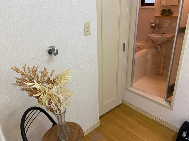 ハイツポエムの洗面所