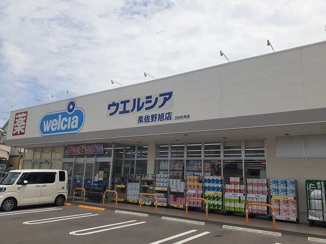 ケーズコート大宮の周辺|ウエルシア様まで261m