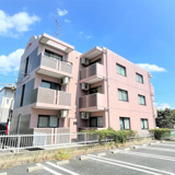 マンション 林檎の樹の画像