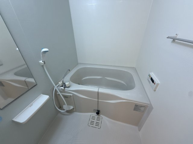 イリーデＡの浴室