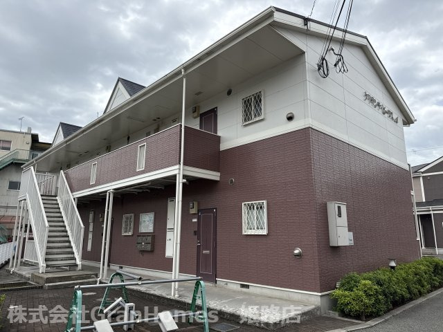 クリサンテ・ピーヌスＡ