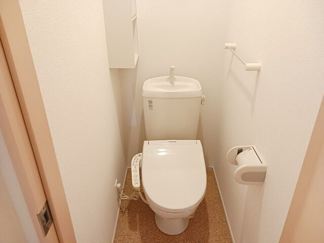 サクラのトイレ