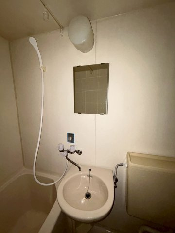 ウエックスマンションの洗面所