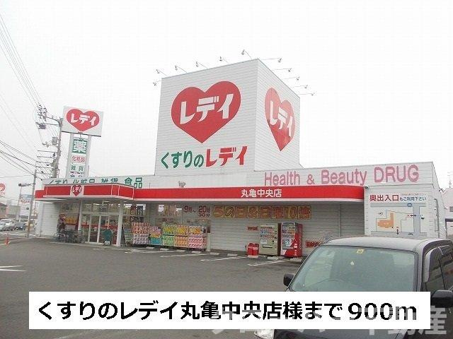 メゾンディオールⅡ　Ｂの周辺|くすりのレデイまで900m