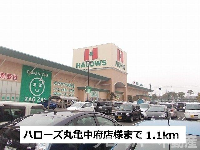 メゾンディオールⅡ　Ｂの周辺|ハローズまで1100m