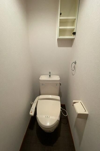 相模原市中央区共和１丁目のアパートのトイレ