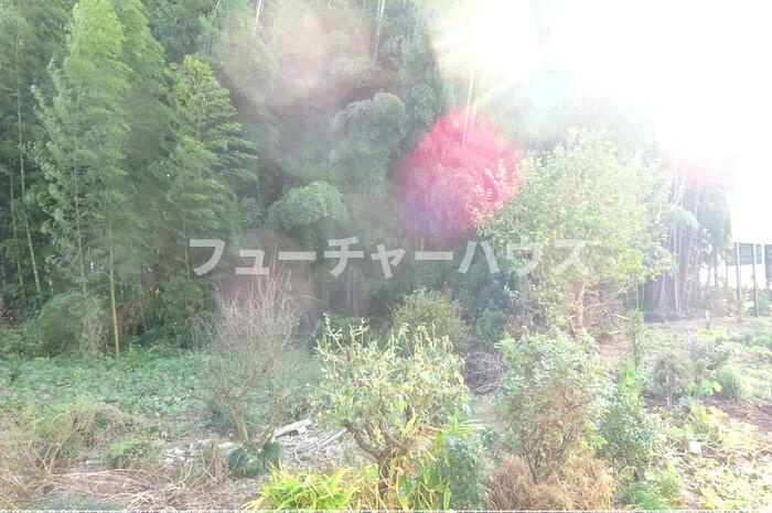 ベイシーの展望