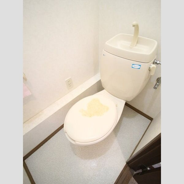 メイプルB棟のトイレ|落ち着いたトイレです