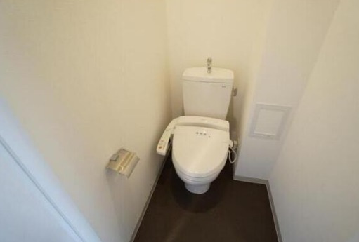 大阪市中央区農人橋１丁目の賃貸マンションのトイレ