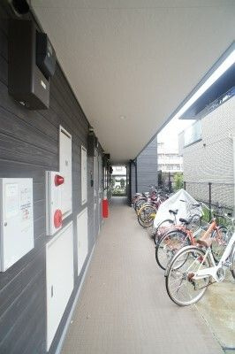 Ceruleanのエントランス