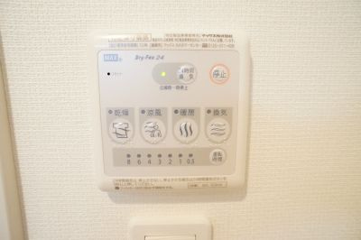 Ceruleanのその他