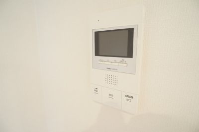 Ceruleanのセキュリティ