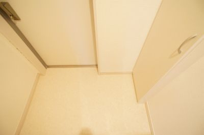 Ceruleanのその他