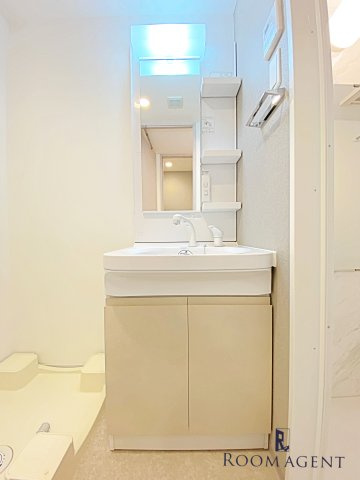 S-RESIDENCE堀田駅前futur(フチュール)の洗面所