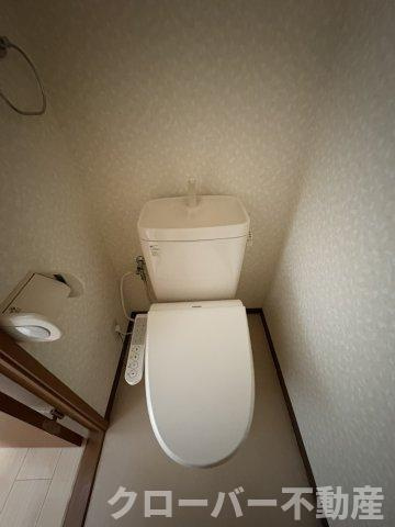 ハイネス郡家のトイレ