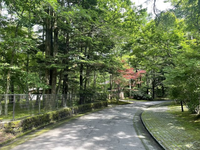 新軽井沢  矢ヶ崎別荘地  上品なたたずまいの邸宅の前面道路含む現地写真