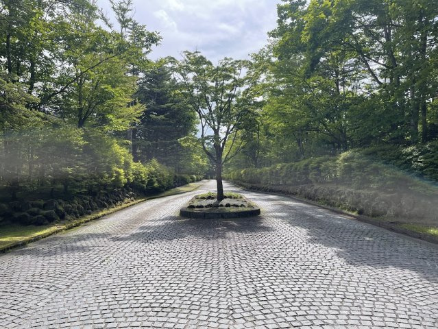 新軽井沢  矢ヶ崎別荘地  上品なたたずまいの邸宅の周辺