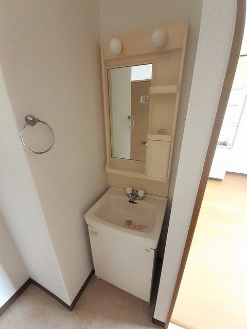 レビュー弐番館の洗面所