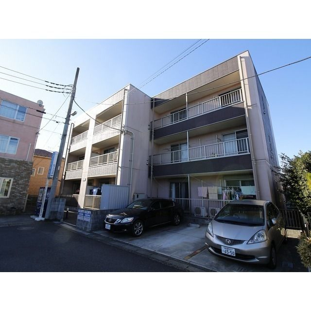 アンプルール フェール ベルツリーⅢ