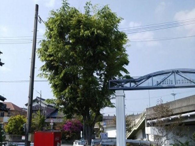 レオパレスレミュールのその他