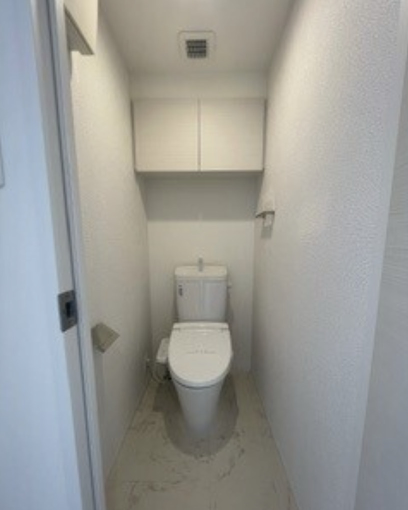 S-RESIDENCE三田慶大前のトイレ