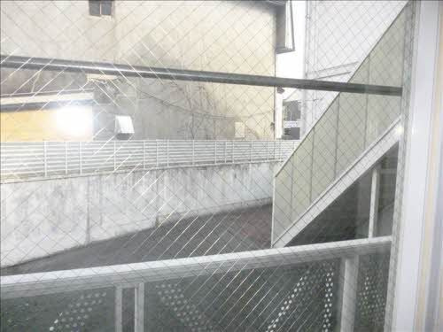 アルファの展望