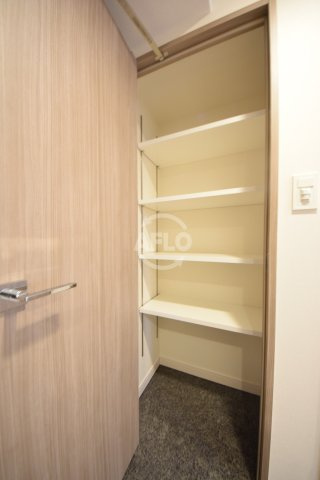 プレサンス谷町九丁目ディセオの収納|プレサンス谷町九丁目ディセオ　シューズクローゼット