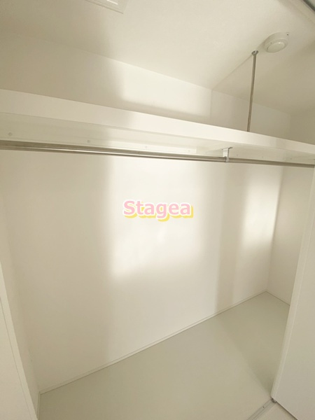ゼルコヴァの収納