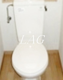【トイレ】 | 南浦和ヒルズⅡ | トイレです。（同仕様です。）