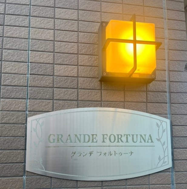 グランデフォルトゥーナのその他