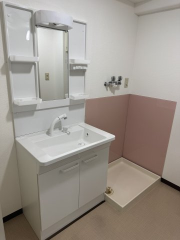 コスモ岩出の洗面所