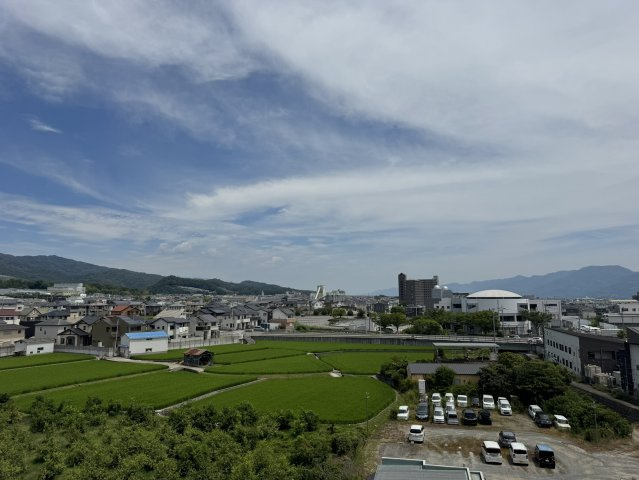 コスモ岩出の展望