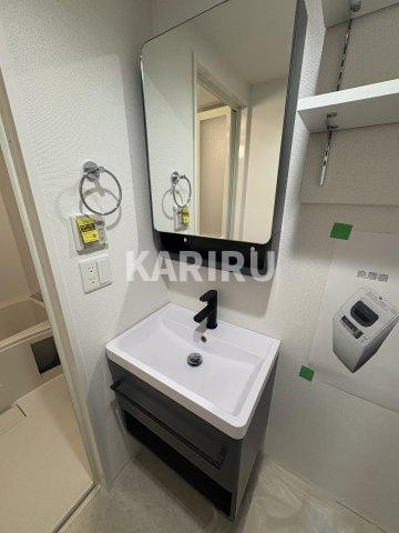 セレニテ谷町四丁目アリエの洗面所