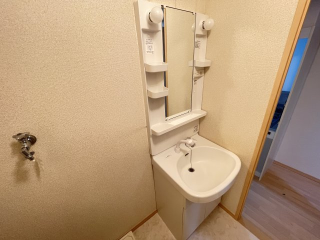 アムールPOPOの洗面所