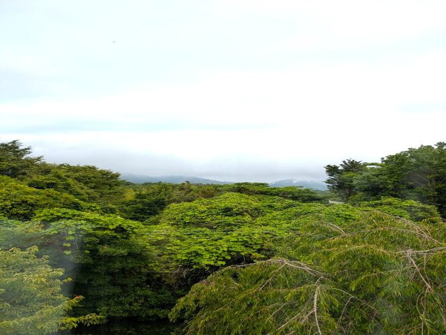 自然が多く閑静な別荘地　エンゼルフォレスト伊豆熱川の温泉付3SLDKの展望|海を遠望します