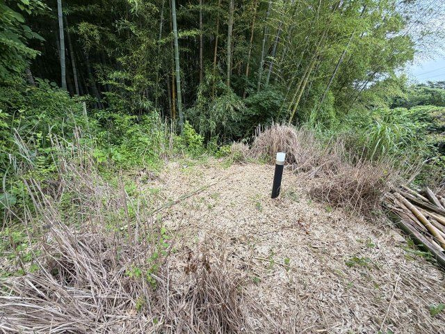 自然が多く閑静な別荘地　エンゼルフォレスト伊豆熱川の温泉付3SLDKの庭|東側もガーデニング可能