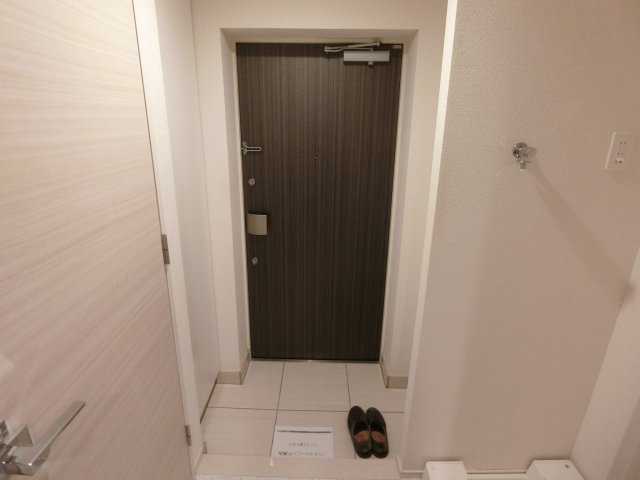 ハーモニーレジデンス武蔵小杉フォレストスクエアの玄関|他のお部屋の参考写真となります。
