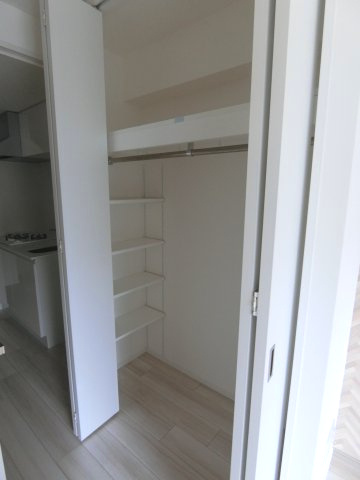 レアライズ武蔵小杉Ⅱの収納|他のお部屋の参考写真となります。