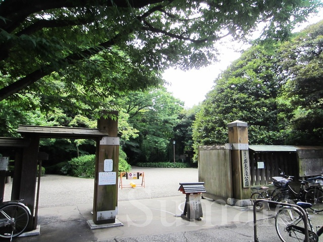 バーミープレイス王子Ⅱのその他|名主の滝公園