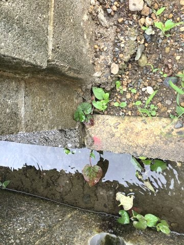 袋井市　上山梨　売り土地　A区画の外観