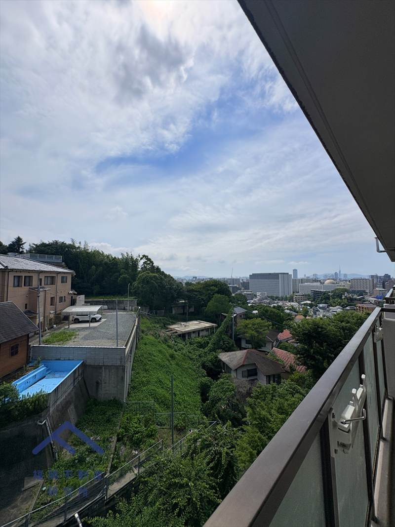 ネオハイツ南公園の展望