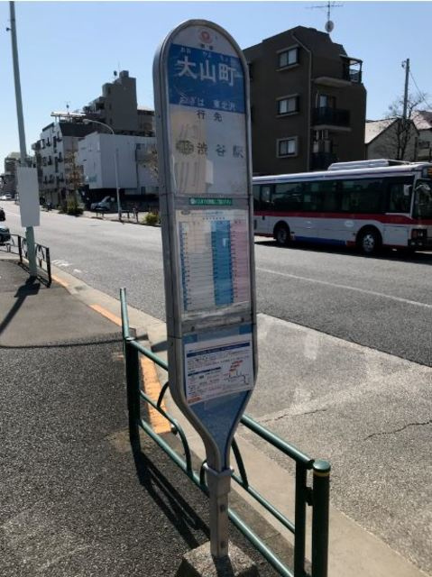 プラティーク北沢のその他|大山町バス停