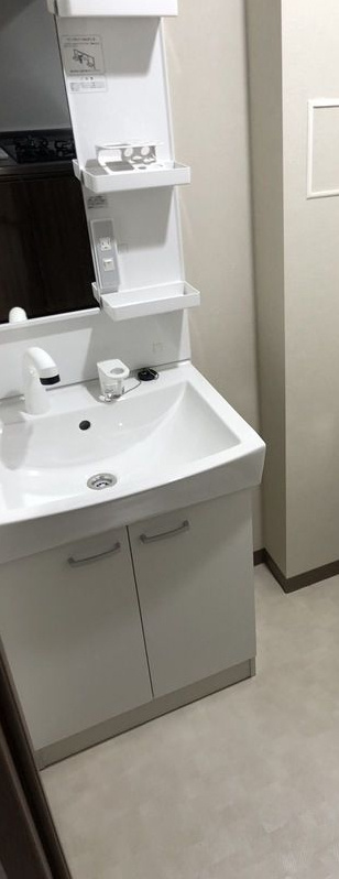 エストゥルースプラス両国の独立洗面台
