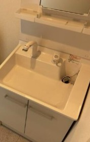 カインドネス新座Ｎｏｒｔｈの洗面所|※同施工参考写真