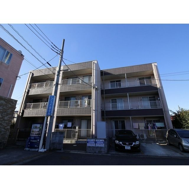 アンプルール フェール ベルツリーⅢ